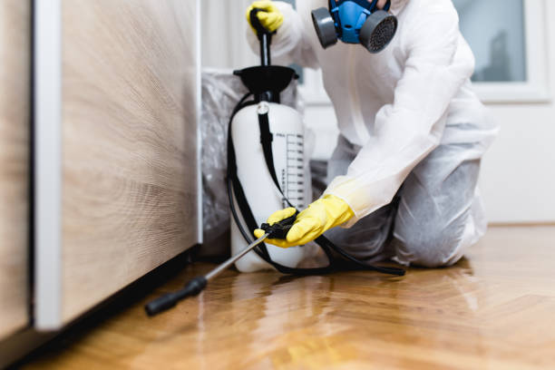 Best Wasp Removal Services  in Mcadoo, PA