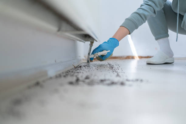 Best Affordable Pest Control Services  in Mcadoo, PA